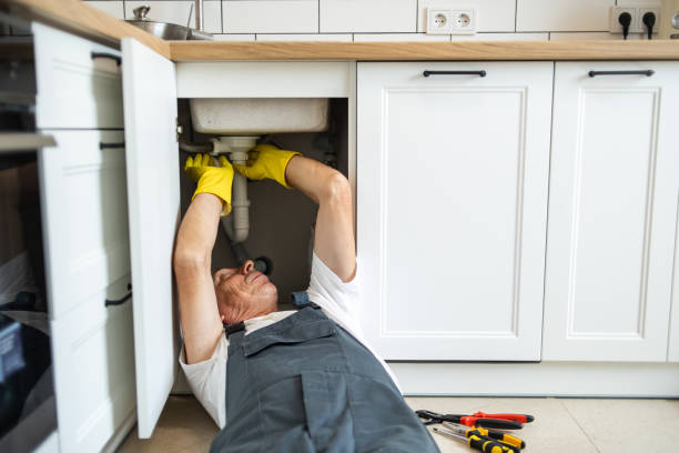 Best Affordable Plumbing Services  in Fountain, CO